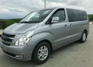 Коврики в салон + багажник Hyundai Grand Starex (2007-2015) 