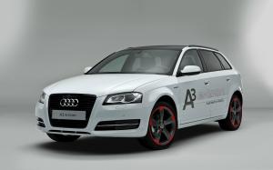 Коврик в багажник Audi A3 8VA (5 дверей)(Ауди А3 8VA 5дверей) с бортиком
