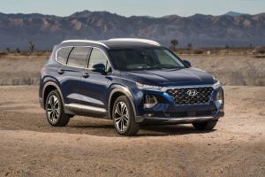 Коврик в багажник Hyundai Santa Fe  (2020-н.в.) 5 мест с бортиком