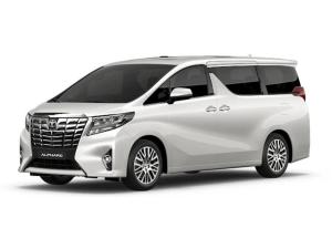 Велюровые коврики в салон и багажник Toyota Alphard 3 (2015-2024) 