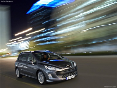 Коврики в салон Peugeot 308 (Пежо 308) с бортиком
