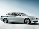 Коврики в салон BMW 5 серии F18 Long (2013-2016)