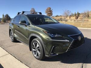 Коврики в салон Lexus NX 300h (2014-2021)