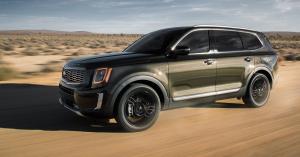 Коврики в салон Kia Telluride 1 (2020-н.в.) 3 ряд с бортиком 
