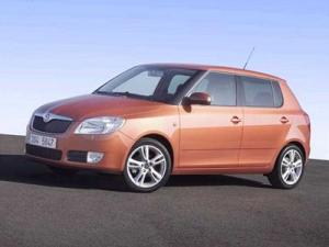 Коврики 3D LUX в салон Skoda Fabia с бортиком