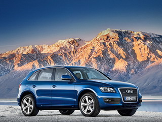 Коврики в салон Audi Q5 (Ауди Ку5) (2008-2016)
