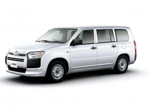 Коврик в багажник Toyota ProBox 160 (2014-н.в.)