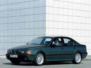 Коврик в багажник Bmw 5 E39 (1996-2004) с бортиком