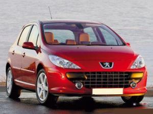 Коврики в салон Peugeot 307 (Пежо 307) с бортиком
