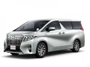 Велюровые коврики в салон Toyota Alphard III (Тойота Альфард 3) + коврик в багажник 