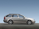 Коврик в багажник в багажник Skoda Octavia A5 Combi (Шкода Октавия А5 универсал)с бортиком