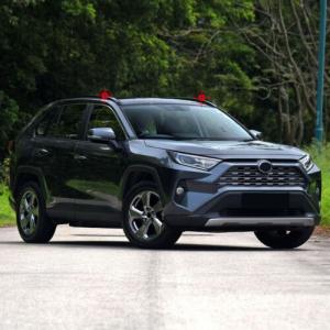 Коврик в багажник Toyota RAV4 XA50 (2019-н.в.) с бортиком