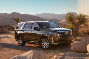 Коврики в салон Cadillac Escalade 5 (2020-н.в.) 3 ряд