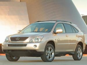 Коврик в багажник Lexus RX XU3 (2003-2009)
