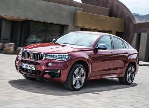 Коврик в багажник Bmw X6 F16 (2014-2019)