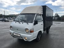 Коврики для Hyundai Porter (Хендай Портер)