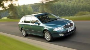 Коврик в багажник в багажник Skoda Octavia A5 Combi (2004-н.в.) 