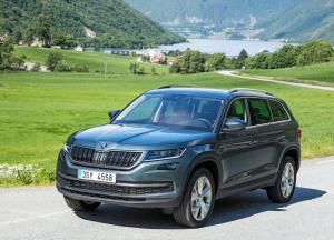 Коврики в салон Skoda Kodiaq (2016-н.в.) 3 ряда
