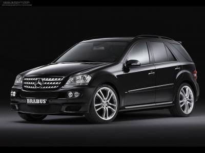 Коврики в салон Mercedes M-klasse W164 (Мерседес М-Класс W164)