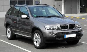 Коврики в салон Bmw X5 E53 (Бмв Х5 T53) 3D с бортиком
