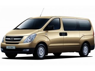 Коврики в салон Hyundai Starex H1 (Хендай Старекс Н1) (3 ряда) с бортиком 