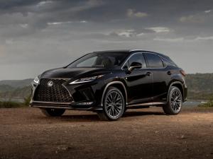 Коврики 3D LUX в салон Lexus RX 4 (Лексус РХ 4) (2015-) с бортиком