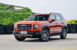 Коврик в багажник в багажник Haval Dargo (2022-н.в.) с бортиком 